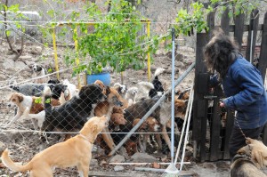 Unsere Tierstation auf Thassos Unsere Tierstation auf Thassos